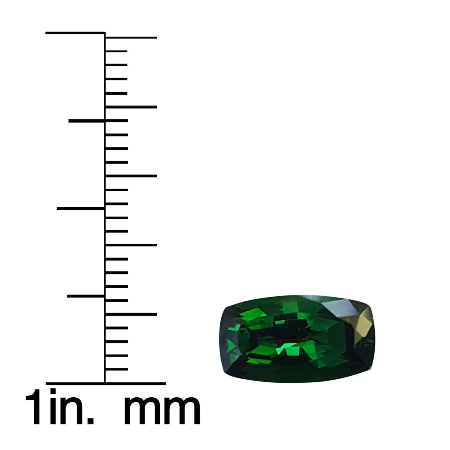 2.63ct Cushion Deep Saturated Green Tsavorite
