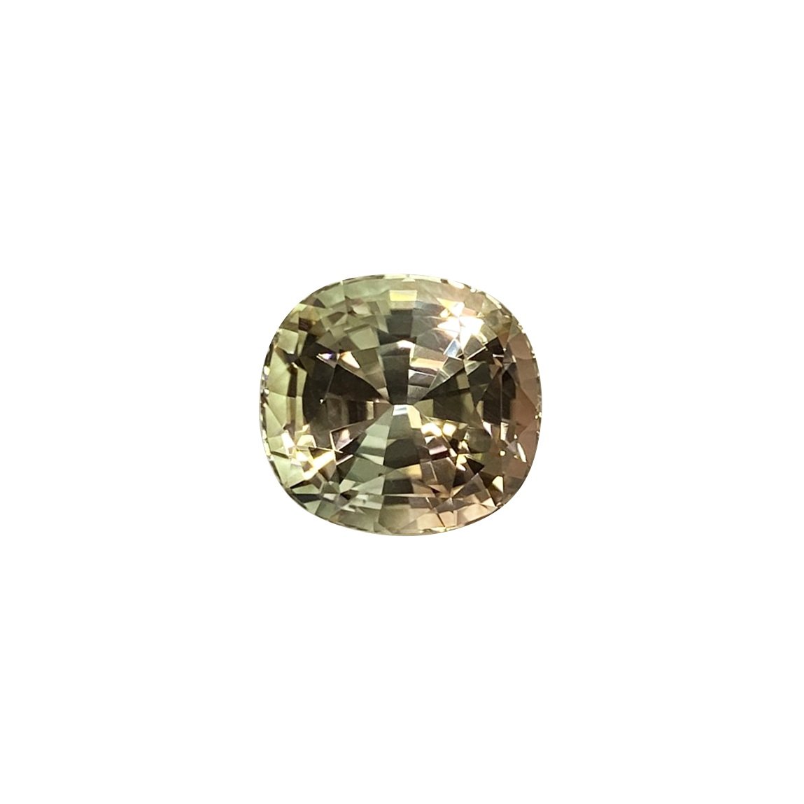 9.7ct Cushion Bi-Color Pink/Green Tourmaline