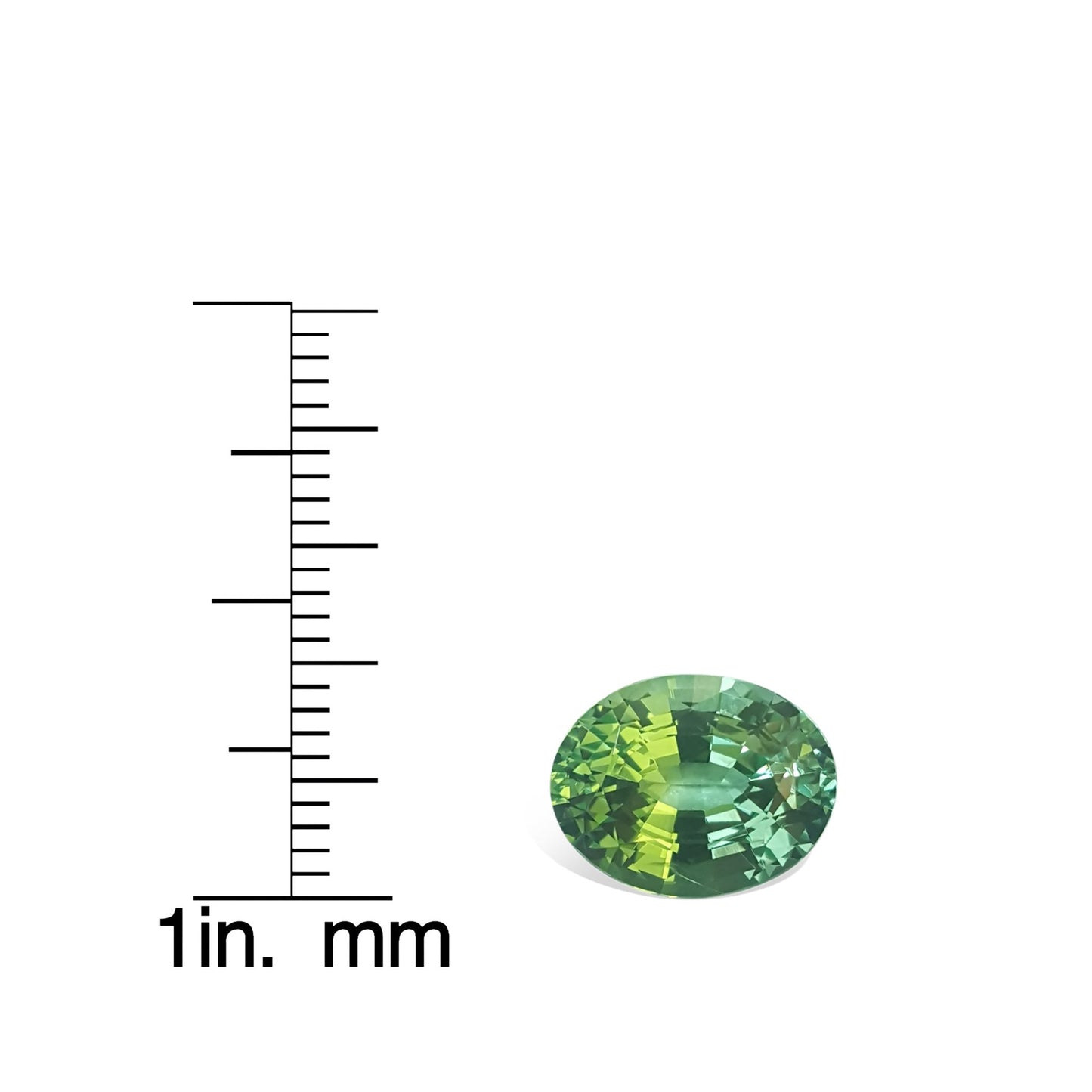 4.9ct Oval Mint Garnet