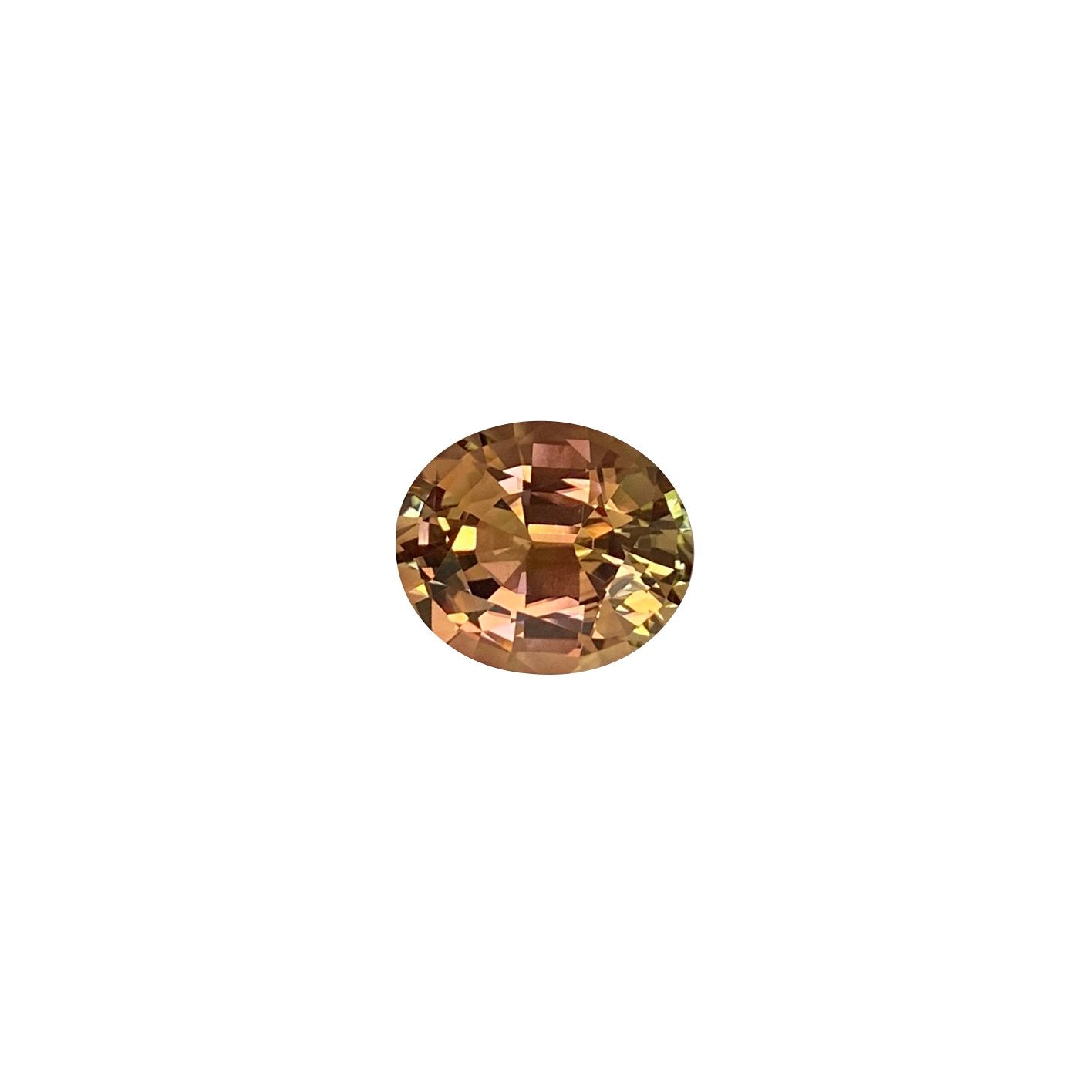 14.98ct Oval Bi-Color Tourmaline