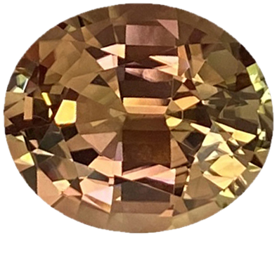 14.98ct Oval Bi-Color Tourmaline