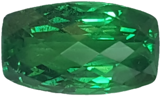 4.98ct Cushion Bright Green Tsavorite