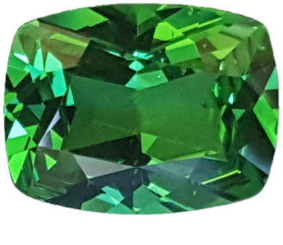 2.98ct Cushion Bright Green Tsavorite