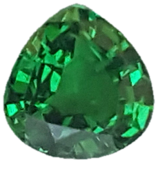1.06ct Onion Fine Intense Green Tsavorite