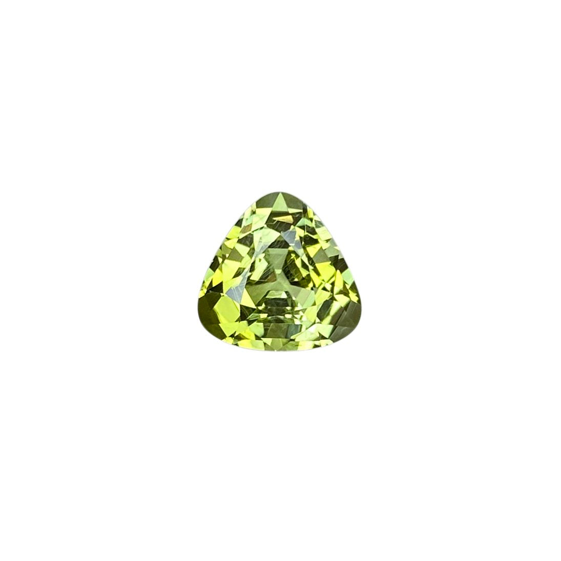 9.2mm Trillion Bi-Color Tourmaline