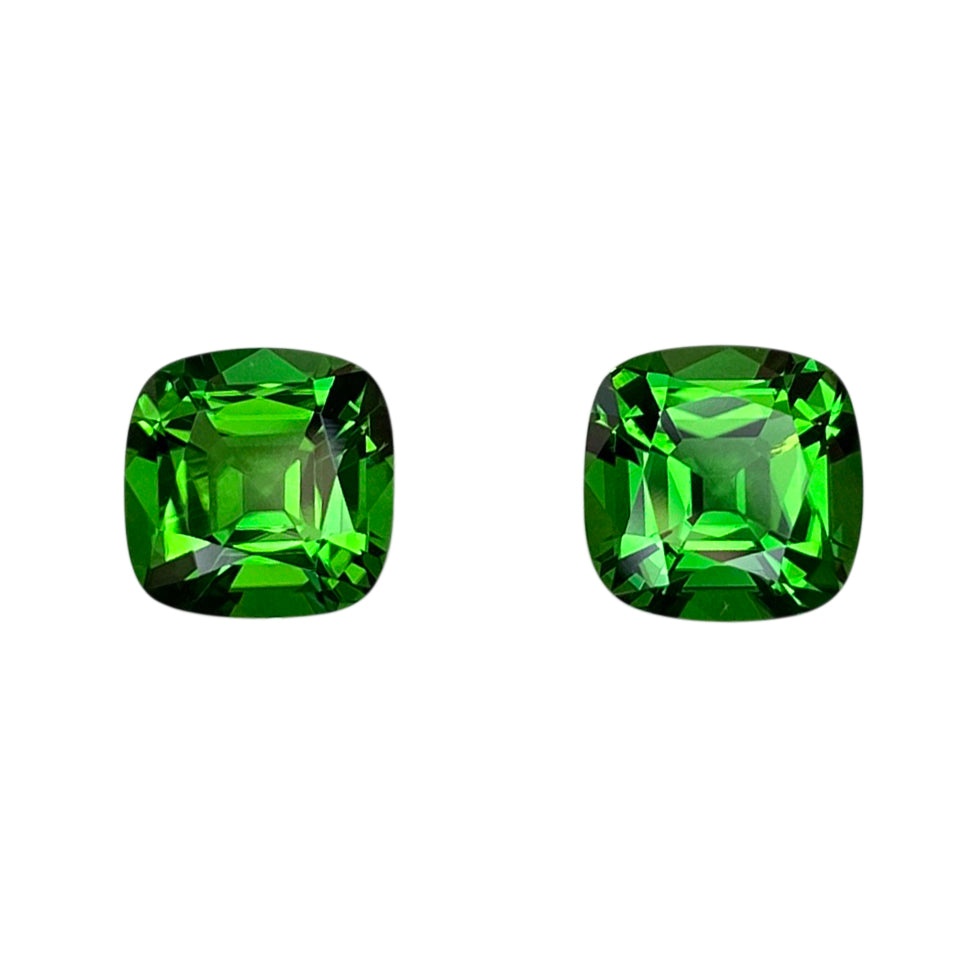 Chrome Tourmaline Pair