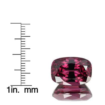 12.58ct Cushion AAA Color Rhodolite