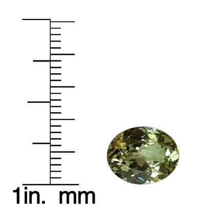 3.58ct Oval Mint Garnet