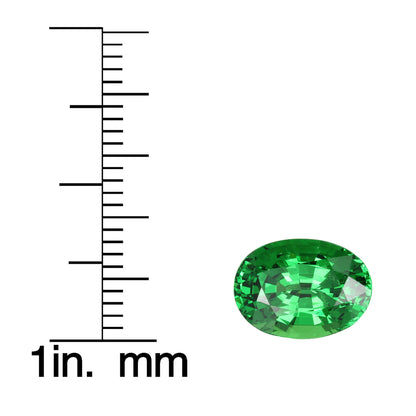 3.89ct Oval Bright Green Tsavorite