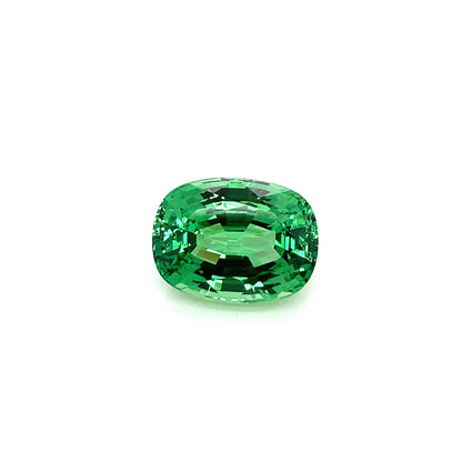 10.5ct Cushion Bright Green Tsavorite
