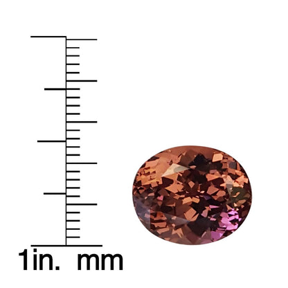 12.94ct Oval Malaya Garnet