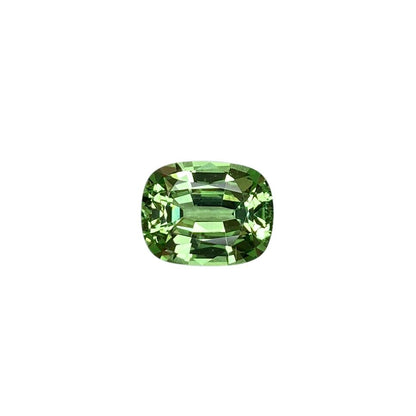 3.01ct Cushion Mint Garnet