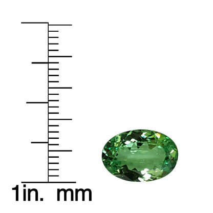 3.65ct Oval Mint Garnet