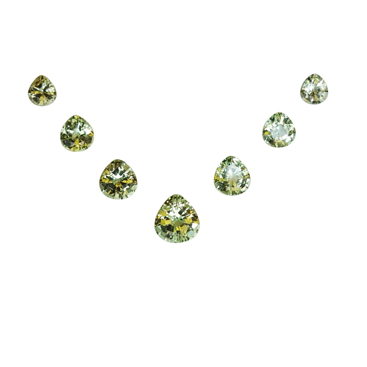 Onion Mint Garnet Suite