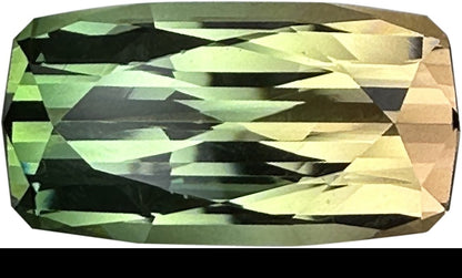 21.8x11.4mm Cushion Bi-Color Tourmaline