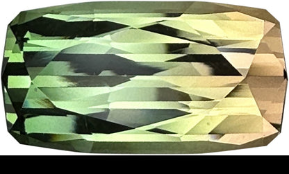 21.8x11.4mm Cushion Bi-Color Tourmaline