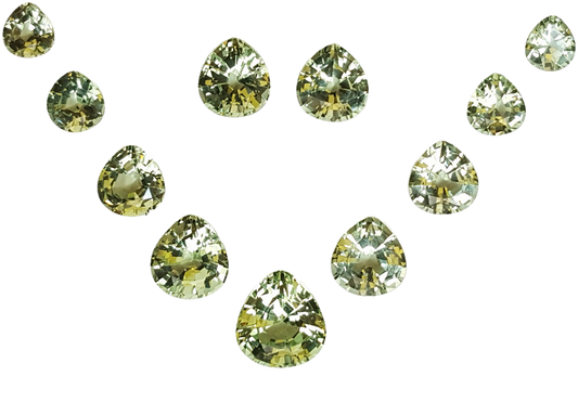 Onion Mint Garnet Suite