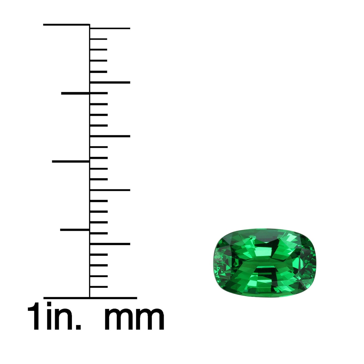 2.54ct Cushion Gem Quality - Fine Intense Green Tsavorite
