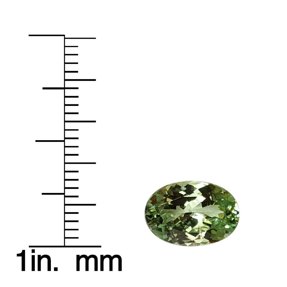 3.73ct Oval Mint Garnet