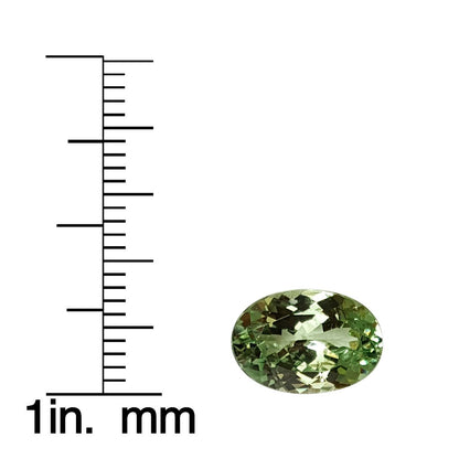 3.73ct Oval Mint Garnet