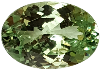 3.73ct Oval Mint Garnet