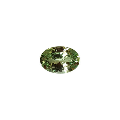 3.73ct Oval Mint Garnet