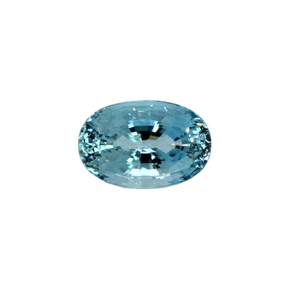 29.01ct Oval AA Color Aquamarine