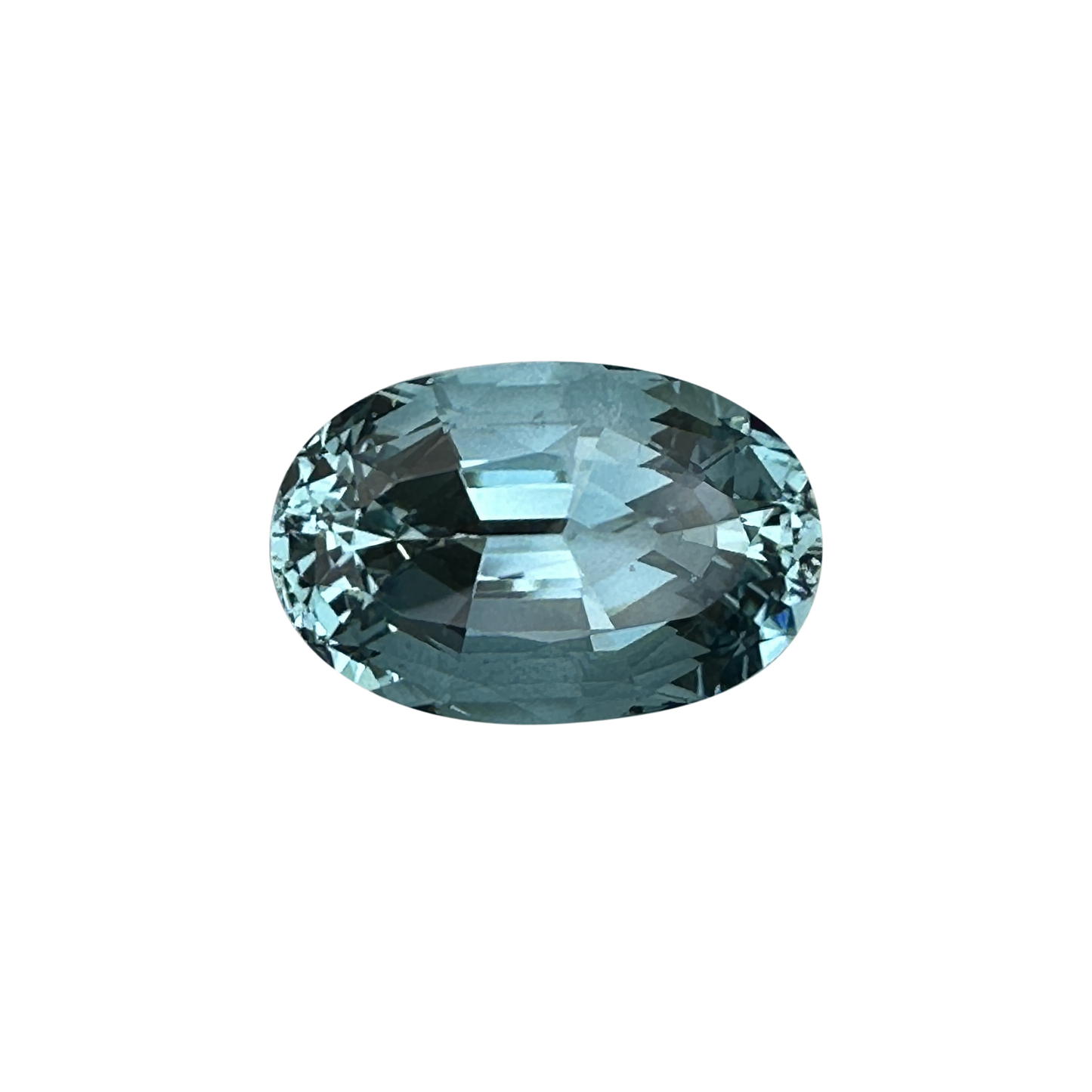 29.01ct Oval AA Color Aquamarine