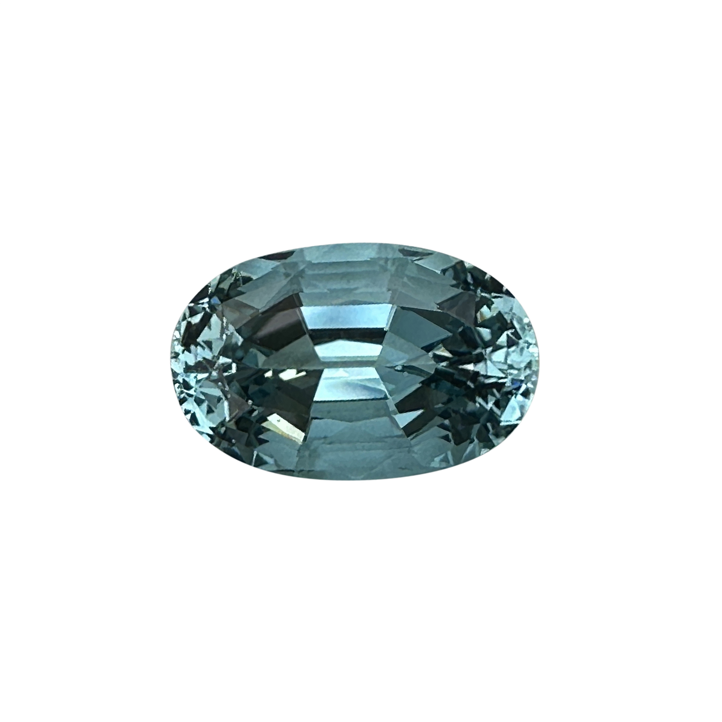 29.01ct Oval AA Color Aquamarine