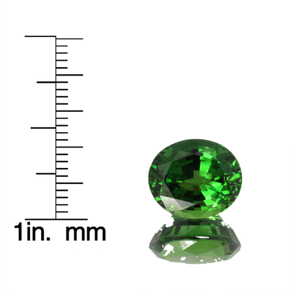 7.37ct Oval Bright Yellowish Green Chrome Tourmaline