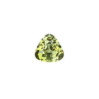 9.2mm Trillion Bi-Color Tourmaline
