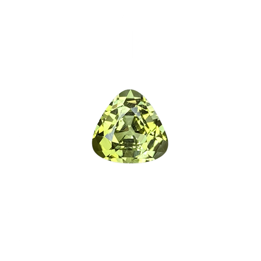 9.2mm Trillion Bi-Color Tourmaline