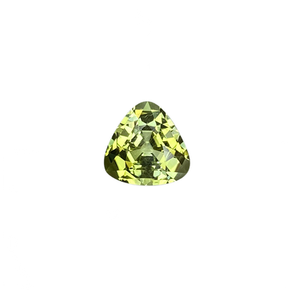 9.2mm Trillion Bi-Color Tourmaline