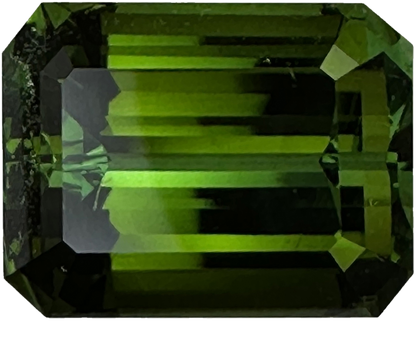 12.52ct Emerald Cut Deep Green Tourmaline