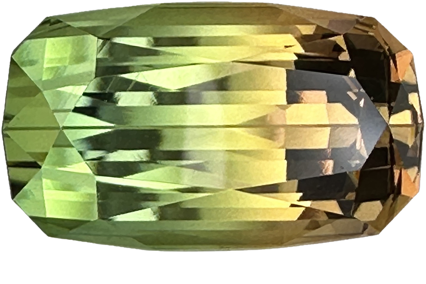 22.2x12.9mm Cushion Bi-Color Tourmaline