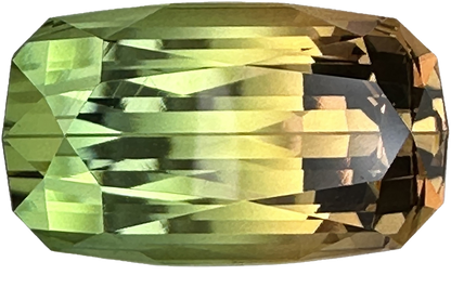 22.2x12.9mm Cushion Bi-Color Tourmaline