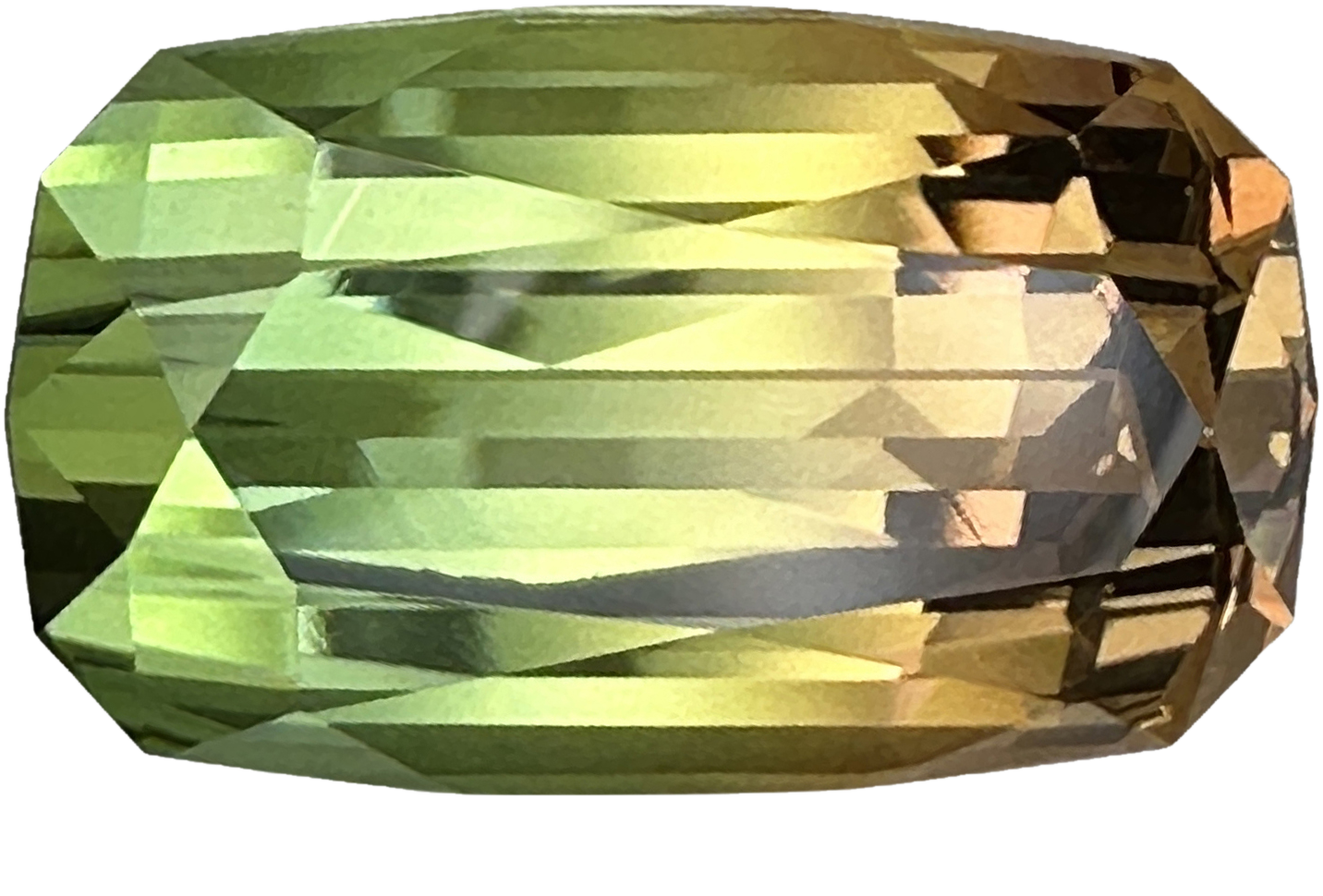 22.2x12.9mm Cushion Bi-Color Tourmaline
