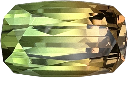 22.2x12.9mm Cushion Bi-Color Tourmaline