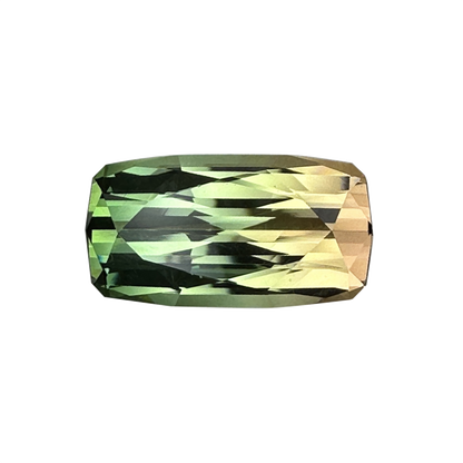 21.8x11.4mm Cushion Bi-Color Tourmaline