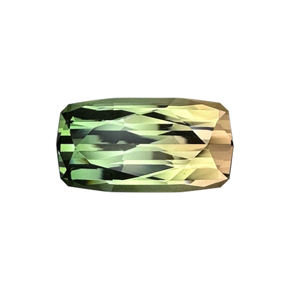 21.8x11.4mm Cushion Bi-Color Tourmaline