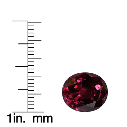 8.23ct Oval AAA Color Rhodolite