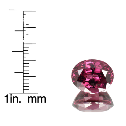 8.16ct Oval AAA Color Rhodolite