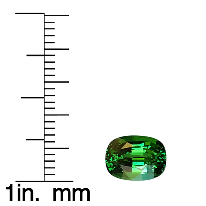 2.6ct Cushion Fine Intense Green Tsavorite
