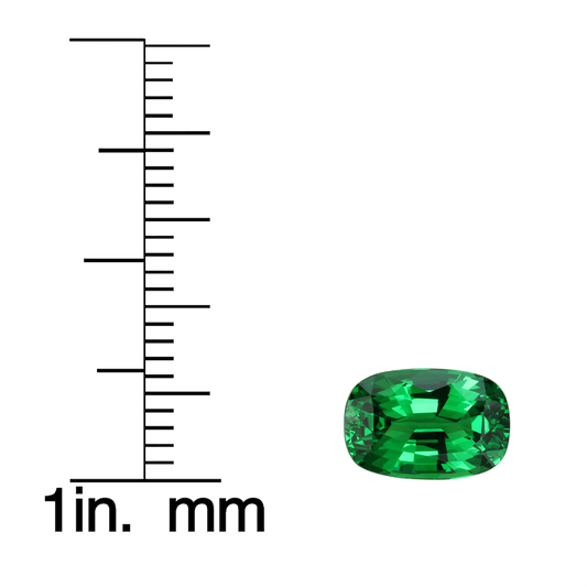 2.54ct Cushion Gem Quality - Fine Intense Green Tsavorite