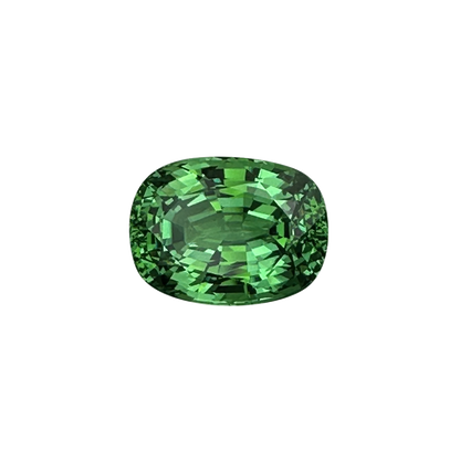 10.5ct Cushion Bright Green Tsavorite