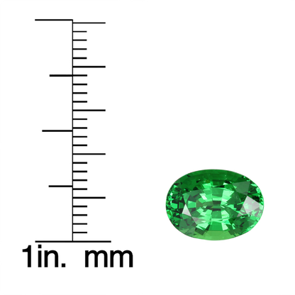 3.89ct Oval Bright Green Tsavorite