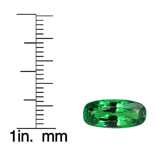 4.06ct Cushion Deep Minty Green Tsavorite