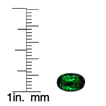 1.54ct Oval Gem Quality - Fine Intense Green Tsavorite
