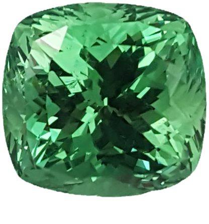 8.51ct Cushion Mint Garnet