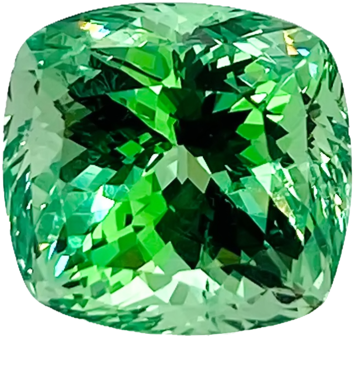 8.51ct Cushion Mint Garnet